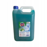PŁYN DO MYCIA NACZYŃ POWER WASH JABŁKO Z MIĘTĄ 5L
