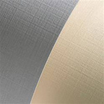 KARTON OZDOBNY A4 ARGO STANDARD PŁÓTNO 202101 BIAŁY 230G 20ARK