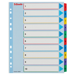 PRZEKŁADKI 1-10 A4 MAXI ESSELTE 100208 MIX