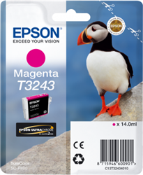 TUSZ ORYGINALNY EPSON T3243 C13T32434010 MAGENTA  14 ML